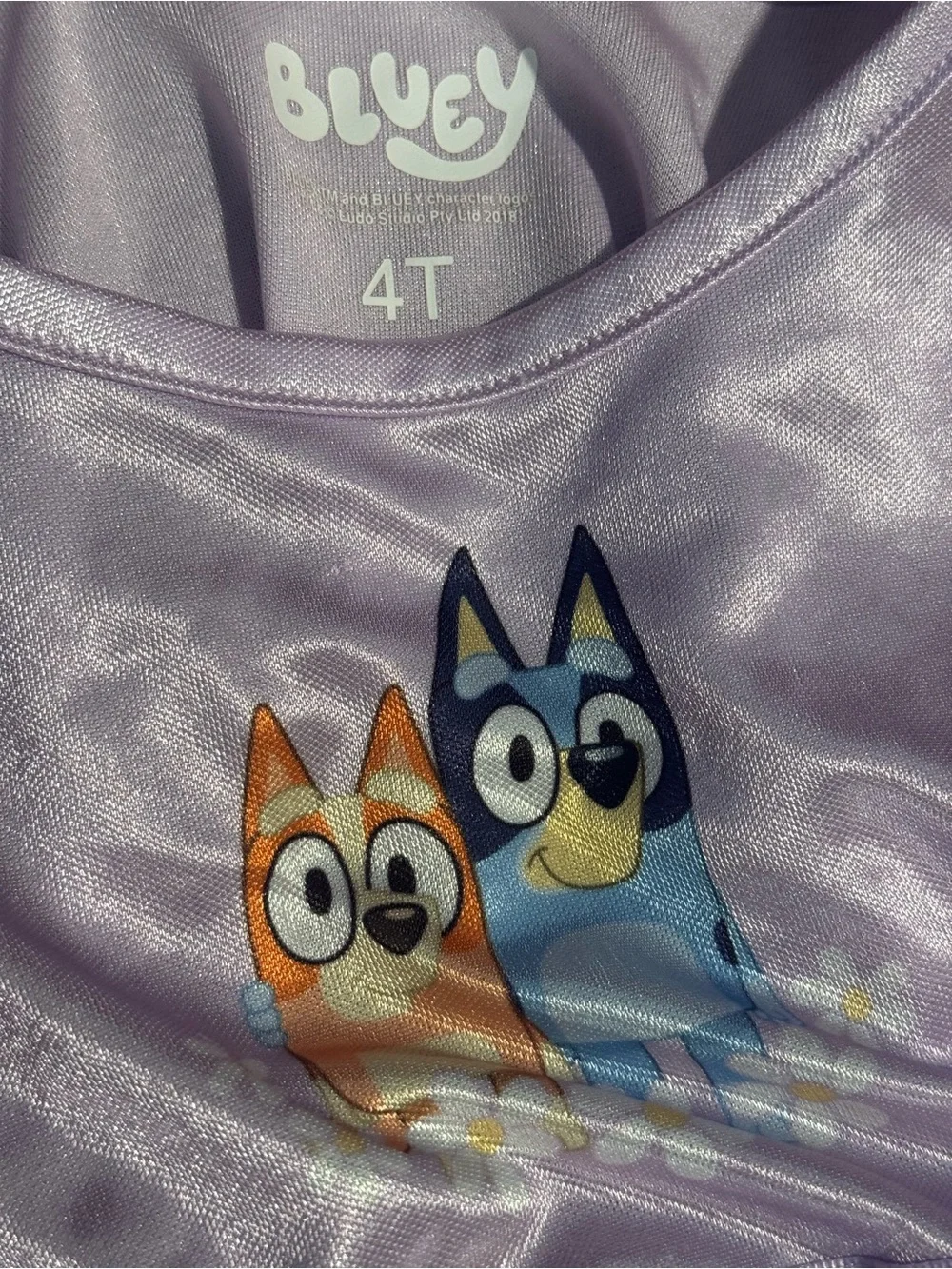 Bluey no stains
